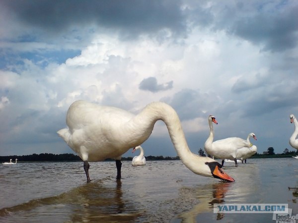 Фотопроект Best of Russia 2012