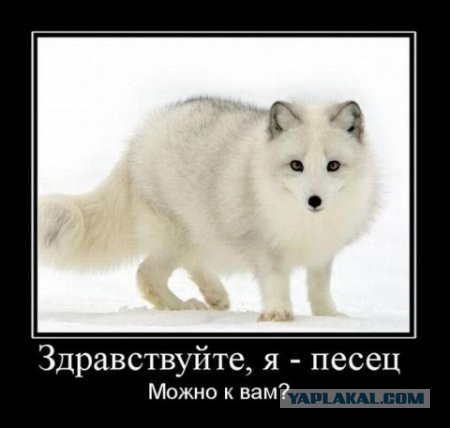 Вот оно как аукнется