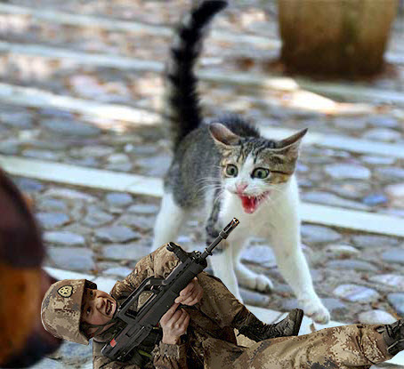 Фотожаба "Огненные Учения" Пожабим?