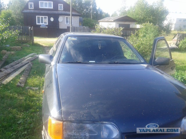 W124 История домаркетингового боливара