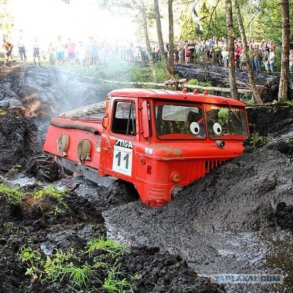 Свежая подборка автоприколов