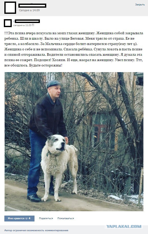 Нападение Алабая на ребёнка. Безразличие очевидцев