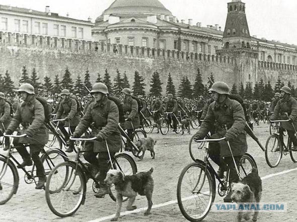 Советы велосипедистам