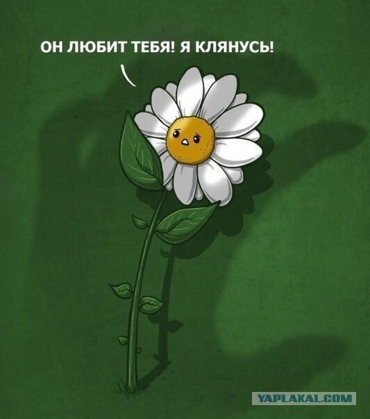 Весёлые картинки