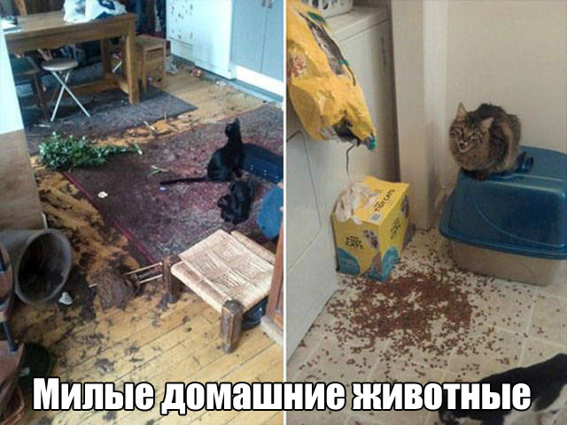 Подборка интересных и веселых картинок