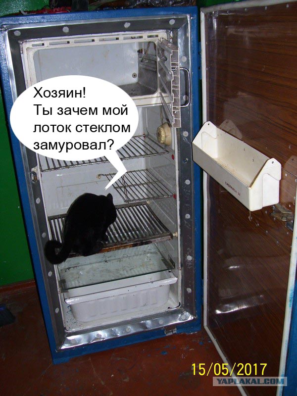 Мелкий косметический ремонт старого холодильника