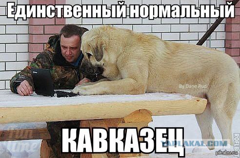 В приморском зоопарке посетители напали на животных
