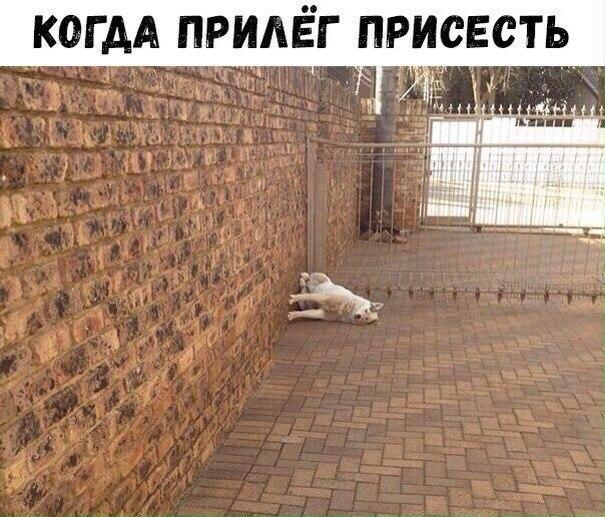 Всякие странные картинки