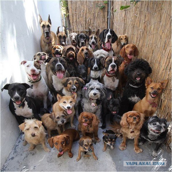 Он с надеждой смотрел на проезжающие машины…