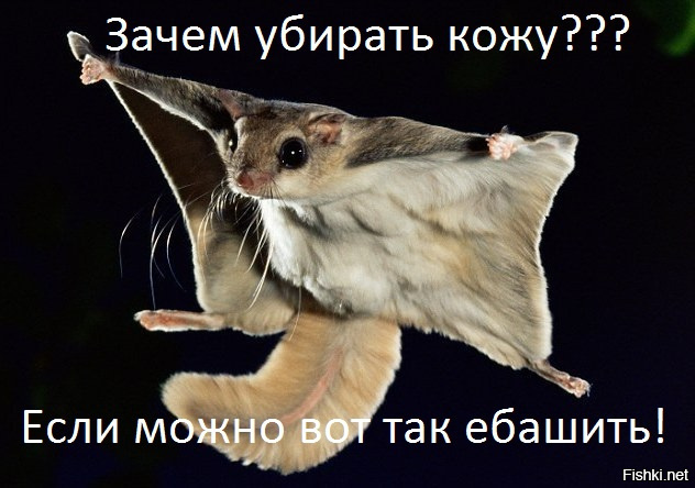 Это подло, но в тоже время гениально!
