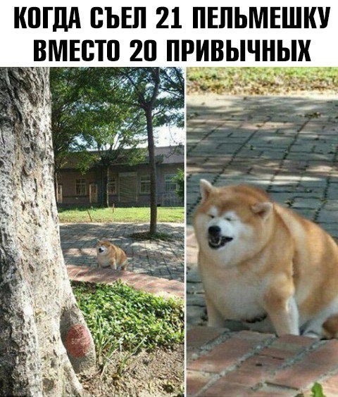 Нестандартный юмор