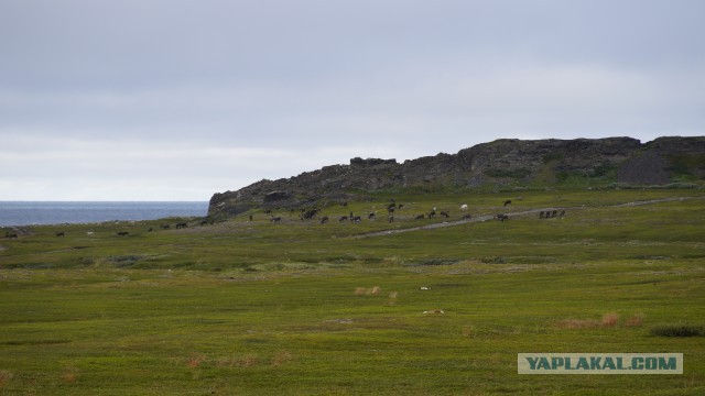 На море в шерстяных носках