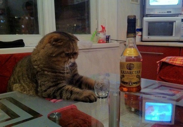 Немного милоты