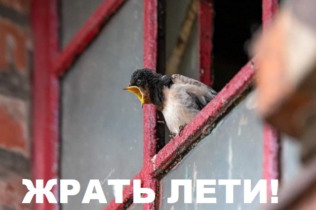 Подборка интересных и веселых картинок 09.07.19