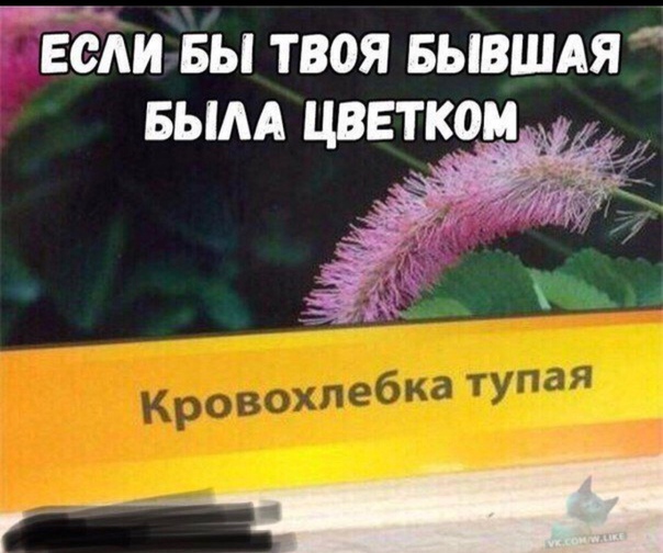 Чуток картинок 28.10.19