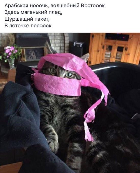 Комментарии к постам в разных группах, которые вызвали улыбку