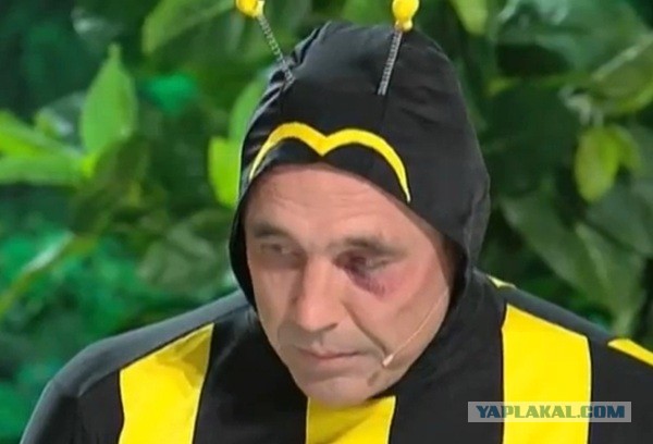 Снежного Человека сняли на видео