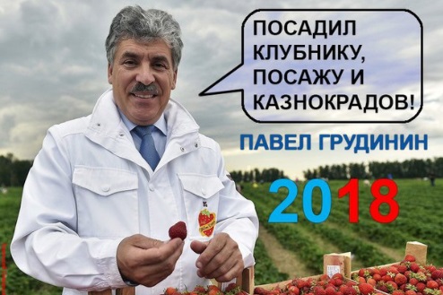 Грудинин: Хоть 10 премьеров отправь в отставку, нацпроекты Путина ничего не изменят