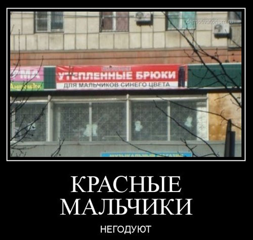 Всякое разное в картинках 12.02.20