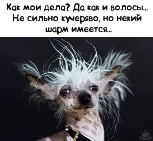 Так себе картинки 10.06.20