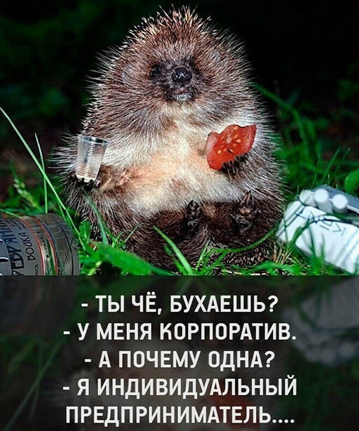 Немного картинок для настроения 22.09.20