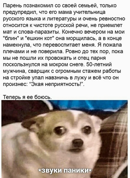 Немного картинок для настроения 18.11.20