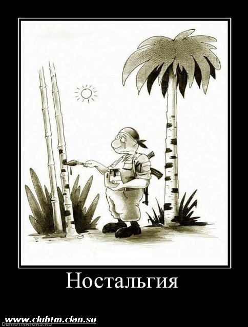 Африканские танкисты готовятся к танковому биатлону