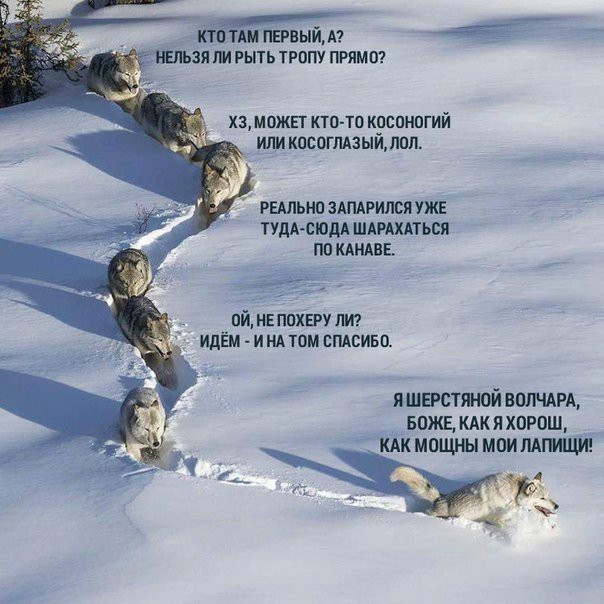 Прокладка зимника в Якутии.