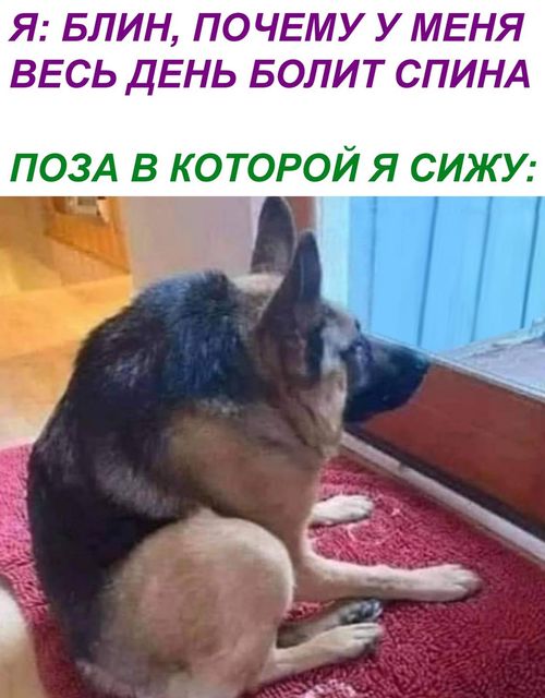 Бредзона 01.03.21