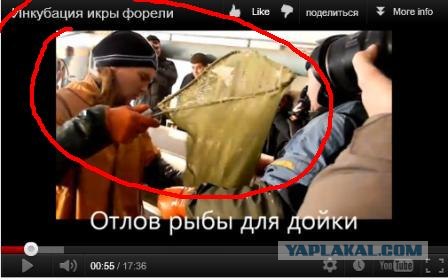 Короткая история об издевательстве
