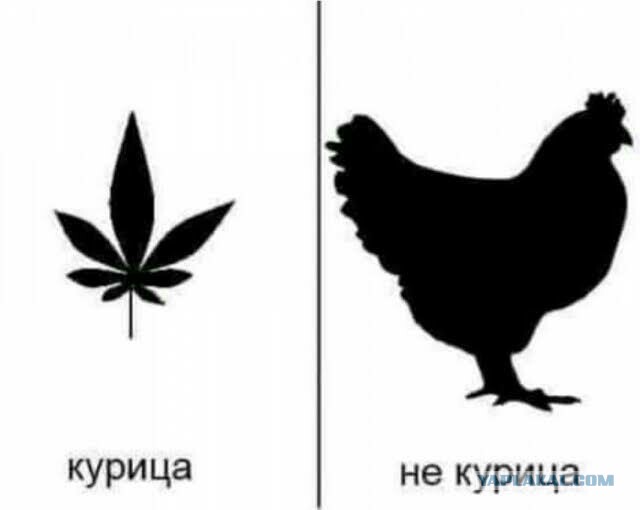 Пятничные маразмы дышат в спину