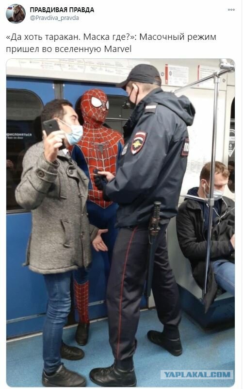 Баранный вируссологический пикчерзз