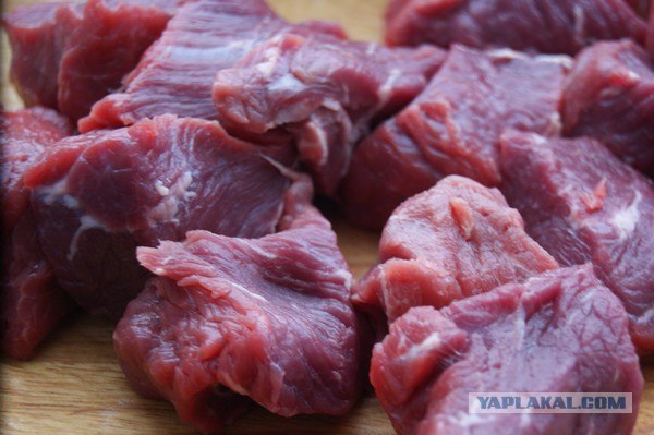 Фасоль – International, Или «Веселые нотки»