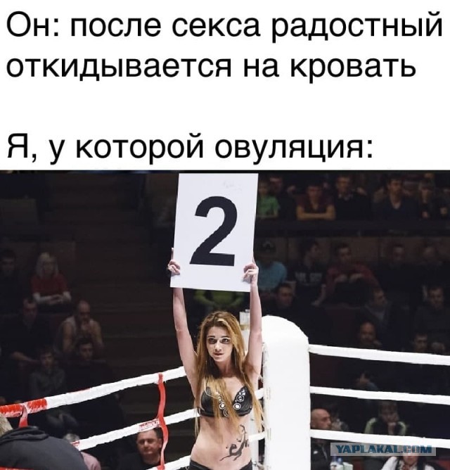 Мемасы (Пошлятина в основном)