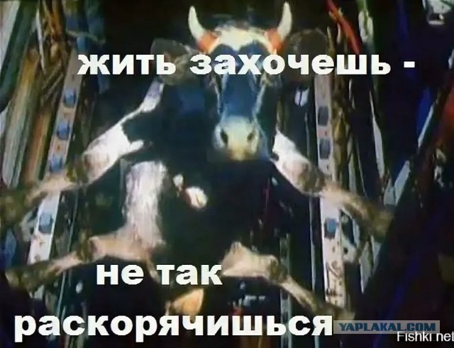 Будни автомеханика
