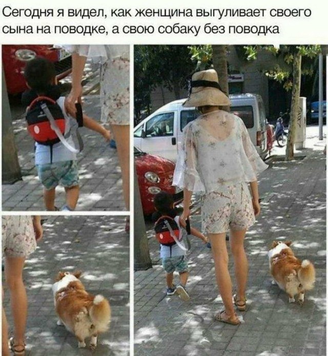 Картинки и мемы, выходные продолжаются