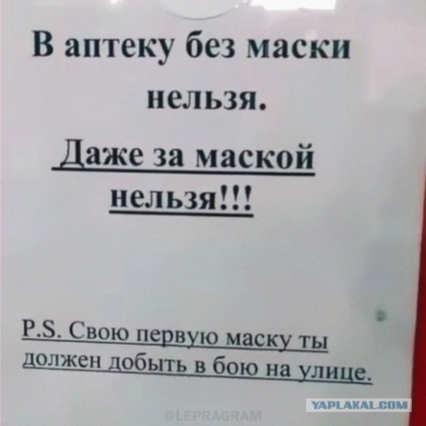 Рамзан Кадыров.
