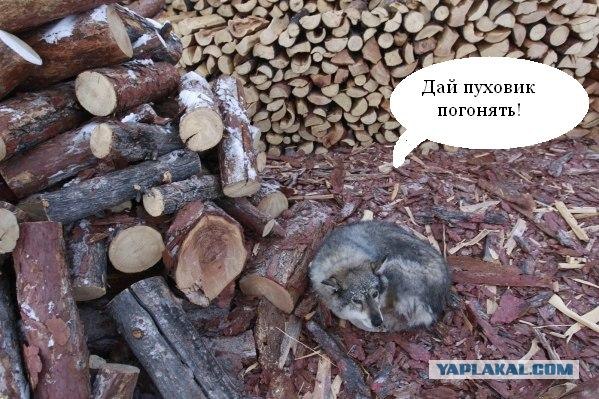 Как живут на «полюсе холода»