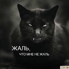 Исповедь неудавшейся Фрау