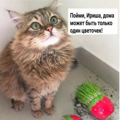Так себе картинки 26.05.23