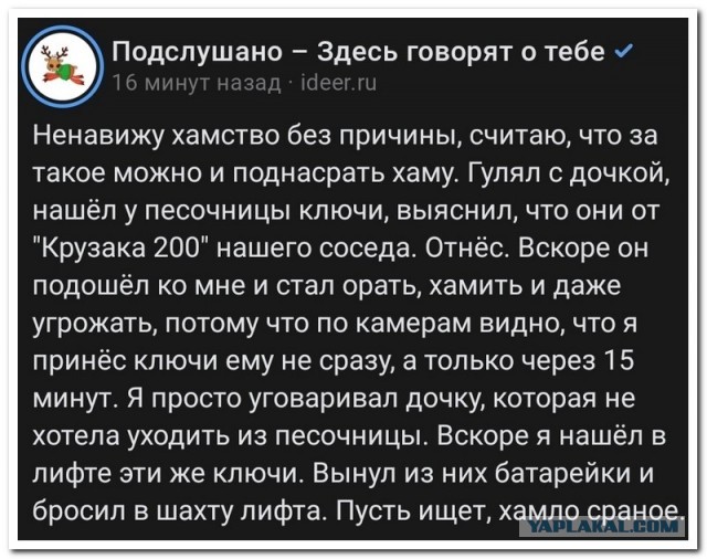 Забавные комментарии из социальных сетей (04.12.23)