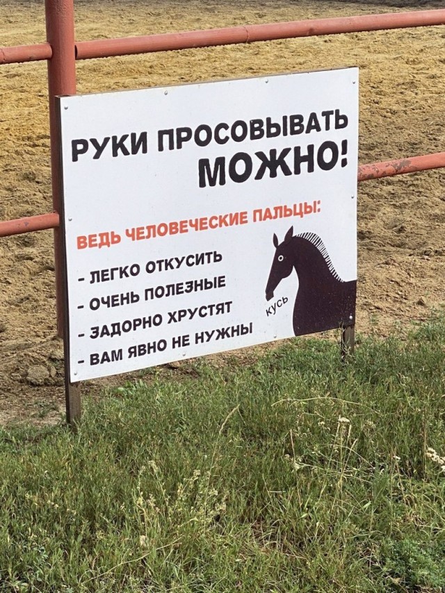 Перлы 16.02.24
