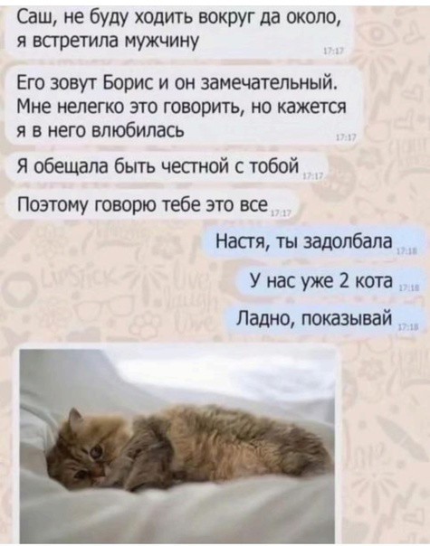 Весёлый полтишок 27.03.24