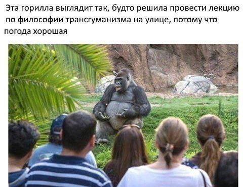 Сборник бабаянов или неожиданная помойка от Неждалигады