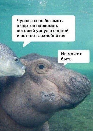 Сборник бабаянов или неожиданная помойка