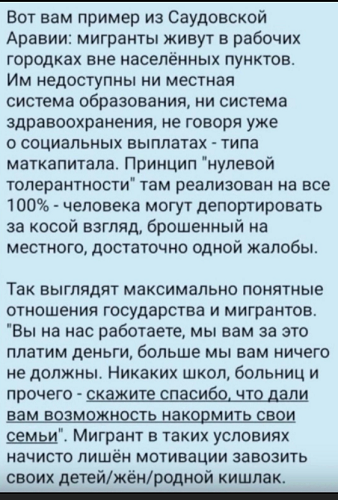 Депутат Останина поддержала идею запретить мигрантам переезд в Россию с семьями