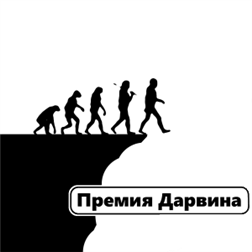 Субарист влетает в пробку