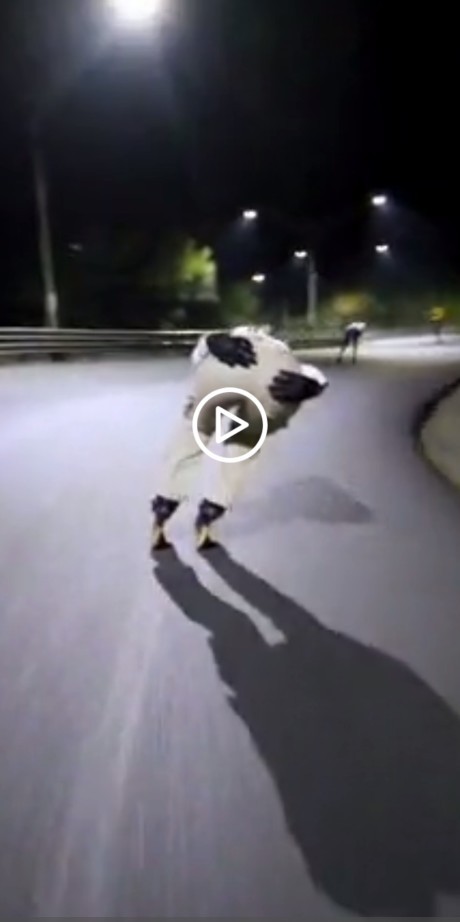 Это ж с какой скоростью эти "конёчники" едут?!