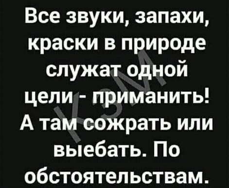 - Давайте я вам переведу
