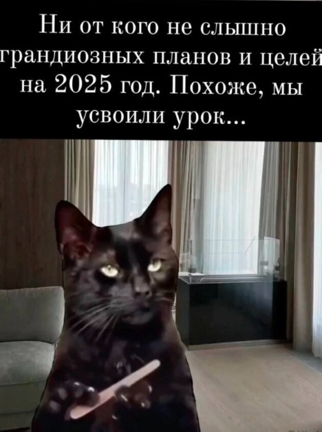 Весёлый полтишок 31.12.24